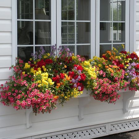 Cote'S Bed & Breakfast Grand Falls Exterior foto